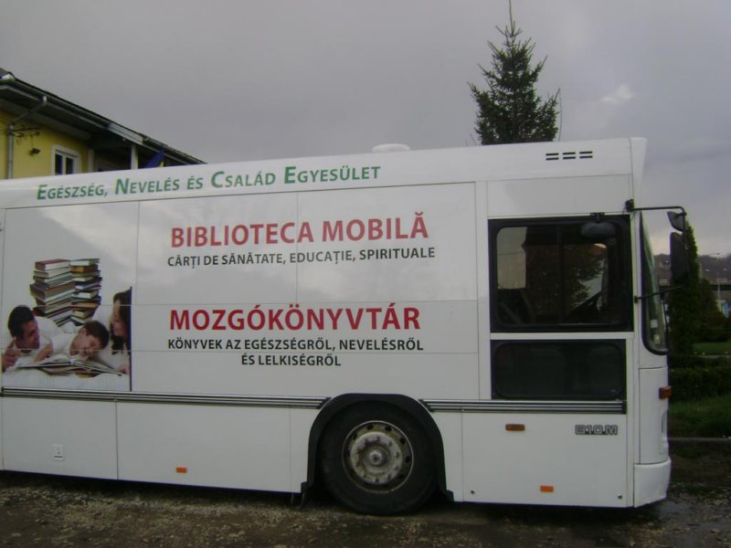 image11.jpg