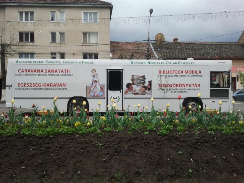 image12.jpg
